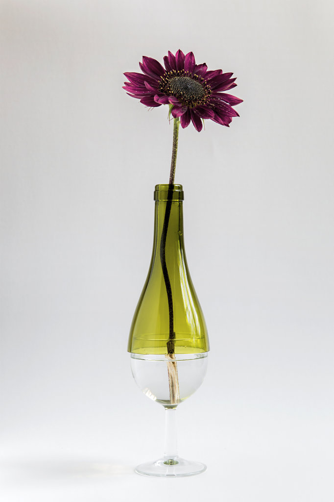Experiences with glass and flowers by Julien Hernandez.